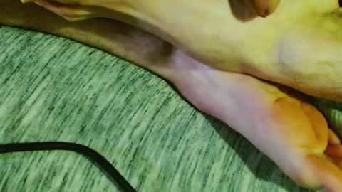 Snapshot of feelingverynaughty chatting on January 30, 2025, 1:44 am ask me online show from January 30, 2025, 1:44 am