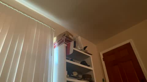 Snapshot of felicitybliss29 chatting on December 3, 2024, 8:50 pm felicitybliss29 online show from December 3, 2024, 8:50 pm