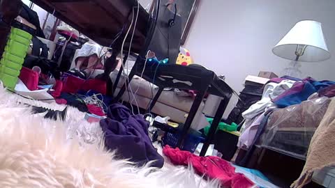 Snapshot of felicitybliss29 chatting on February 27, 2025, 3:47 am felicitybliss29 online show from February 27, 2025, 3:47 am