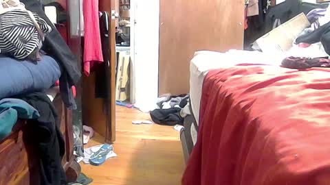 Snapshot of felicitybliss29 chatting on October 16, 2025, 4:57 am felicitybliss29 online show from October 16, 2025, 4:57 am