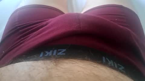 Snapshot of felixske chatting on February 11, 2025, 12:48 pm felixske online show from February 11, 2025, 12:48 pm