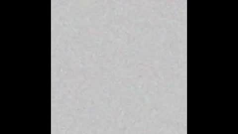 Snapshot of femboy_fangs chatting on December 1, 2025, 4:50 am femboyfangs online show from December 1, 2025, 4:50 am