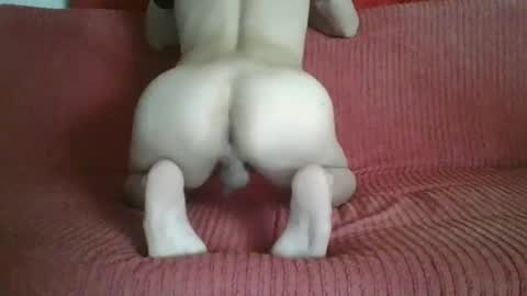 femboyhot28 online show from November 9, 2025, 3:05 am