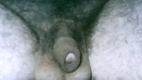 fer_2197 online show from April 16, 2026, 11:22 am