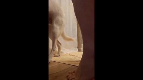 fetishdad863 online show from April 17, 2026, 1:58 pm