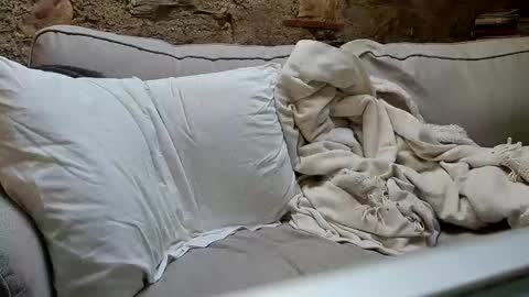 Fid online show from January 6, 2025, 10:35 am