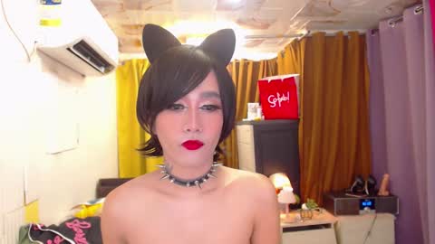 stephanie online show from January 13, 2026, 1:33 am