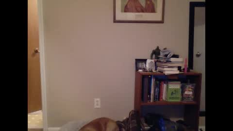 FitBit online show from March 9, 2025, 9:46 am