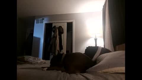 Nate online show from November 2, 2025, 4:48 am