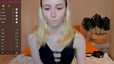 Snapshot of fleximona chatting on December 8, 2024, 12:52 pm FlexiMona online show from December 8, 2024, 12:52 pm