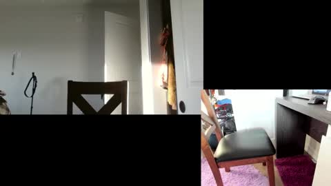 Snapshot of flexymodern chatting on March 11, 2025, 12:28 pm Matt Masterson online show from March 11, 2025, 12:28 pm