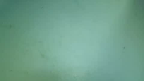 Snapshot of flooreenceee chatting on July 25, 2026, 7:39 am flooreenceee online show from July 25, 2026, 7:39 am