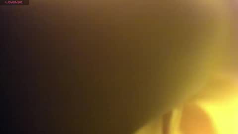    online show from December 2, 2025, 4:07 am