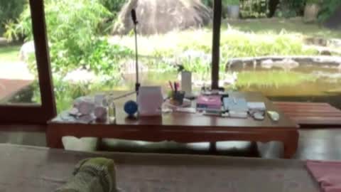 fluffy_bunnyxxx online show from February 21, 2025, 5:13 am