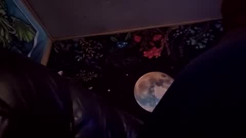 Snapshot of forgottenyeti chatting on December 14, 2025, 12:54 pm forgottenyeti online show from December 14, 2025, 12:54 pm