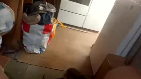 Snapshot of fouducu chatting on March 16, 2026, 12:09 pm Fouducu online show from March 16, 2026, 12:09 pm