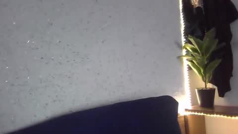 Snapshot of fox_red_lady7 chatting on February 8, 2025, 8:42 am fox_red_lady7 online show from February 8, 2025, 8:42 am