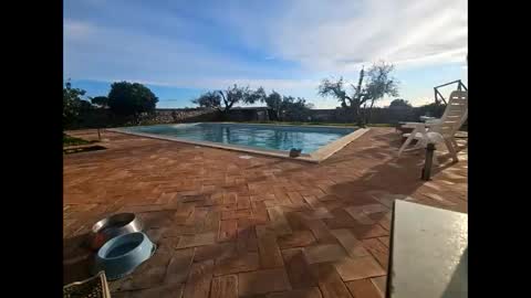 fra  71 online show from March 27, 2026, 4:29 pm