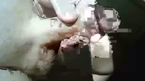 Frank online show from March 29, 2026, 10:37 am