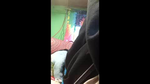 frankie1961slaight online show from March 19, 2026, 2:54 pm