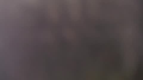 Snapshot of frasalv chatting on May 15, 2026, 10:44 am francescosal online show from May 15, 2026, 10:44 am