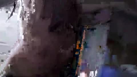 Squirrel twink online show from September 15, 2025, 10:04 am