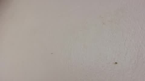 Snapshot of freaky_luna chatting on May 22, 2026, 5:25 am luna online show from May 22, 2026, 5:25 am