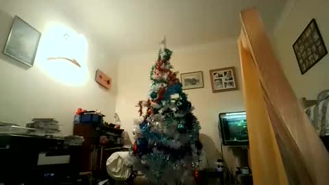 Snapshot of fredlittledick4 chatting on December 5, 2024, 7:49 pm Keith online show from December 5, 2024, 7:49 pm