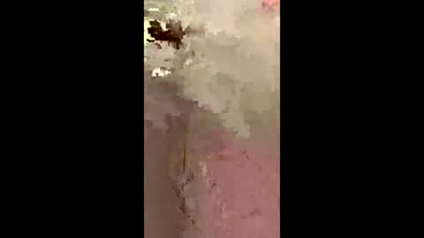 Snapshot of freelingling chatting on December 2, 2025, 9:47 am freelingling online show from December 2, 2025, 9:47 am