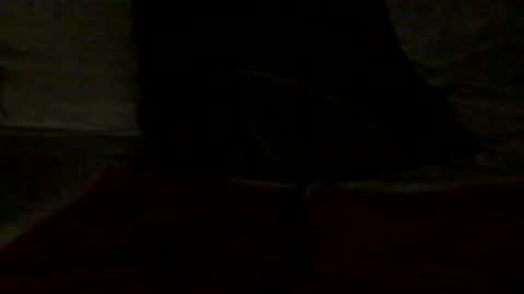 french_dick_20 online show from June 13, 2026, 6:06 pm