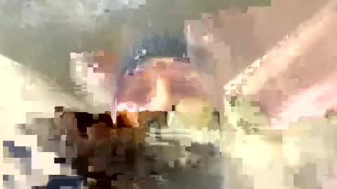 Horny french hard online show from December 17, 2024, 12:34 am