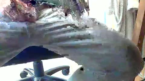 frenchpapalover online show from February 28, 2025, 1:14 pm