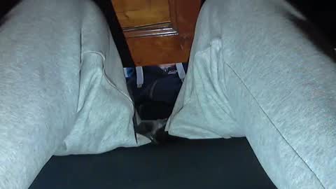 frenchpapalover online show from October 31, 2025, 8:48 am