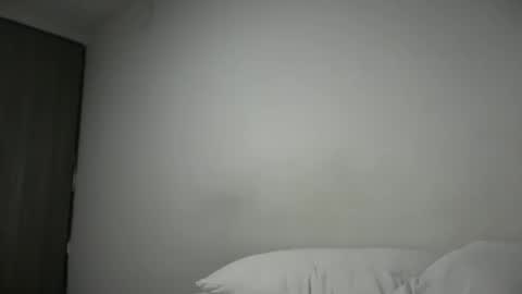 Snapshot of freyva_ chatting on February 2, 2025, 4:48 am freyva_ online show from February 2, 2025, 4:48 am