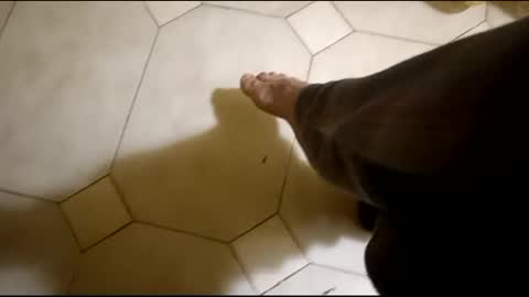 Snapshot of fronion chatting on February 16, 2025, 3:26 am Hornycouple1386 online show from February 16, 2025, 3:26 am