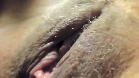 FrumCake online show from December 30, 2024, 12:32 am