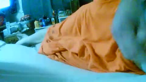 Snapshot of fultonstreet196860 chatting on November 24, 2025, 2:22 am fultonstreet196860 online show from November 24, 2025, 2:22 am