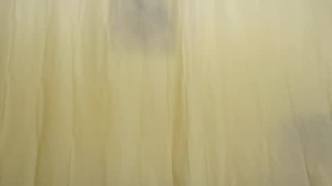 Fun4Tips online show from February 15, 2025, 3:28 pm