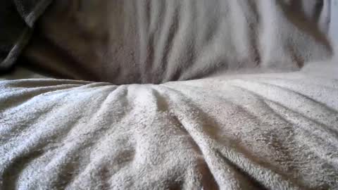 BigLoadsJoe online show from February 24, 2025, 6:58 pm