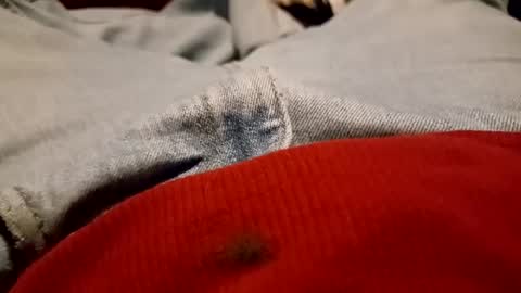 funncountry online show from December 9, 2024, 4:01 am