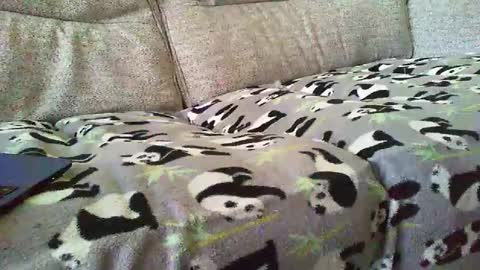 Funslimguy online show from December 30, 2024, 3:46 pm