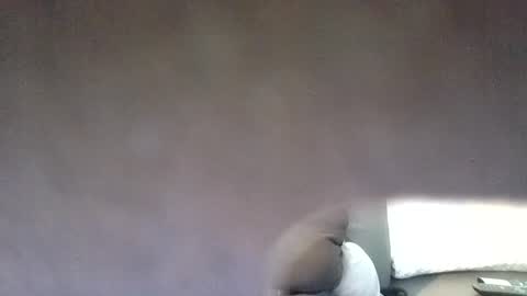 funsunny online show from July 7, 2026, 11:47 am