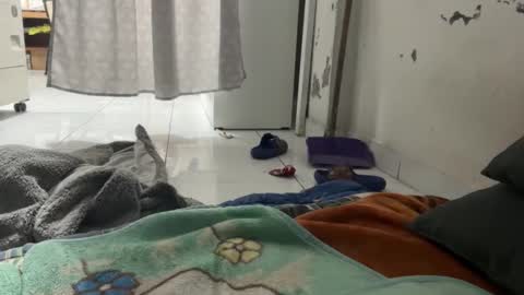 gab021593 online show from December 22, 2025, 1:30 pm