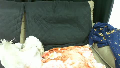 gaby  layla online show from January 13, 2025, 3:56 am