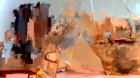 Dani online show from January 23, 2025, 11:37 am