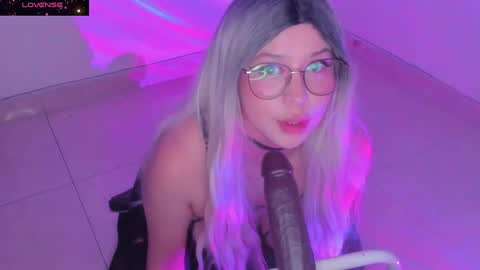 PROXIMO SHOW NOVIEMBRE 16   NEXT SHOW NOVEMBER  16    online show from December 15, 2024, 2:19 am