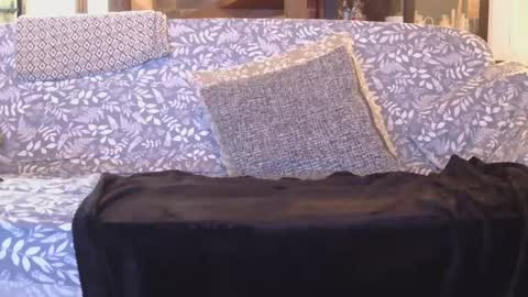 Gaz online show from January 1, 2025, 8:47 pm