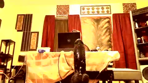 Snapshot of gatewaylaptop2019 chatting on March 9, 2025, 7:56 am gatewaylaptop2019 online show from March 9, 2025, 7:56 am