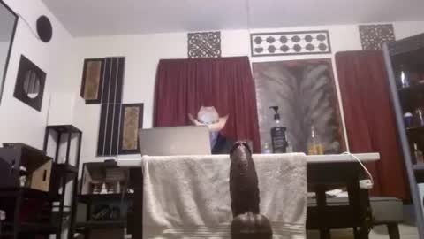 gatewaylaptop2019 online show from April 2, 2026, 11:30 am