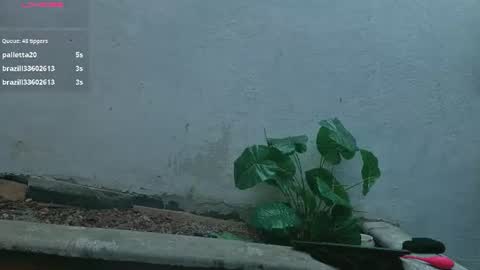 gaviluc_ online show from July 28, 2026, 3:21 pm